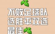 雷速体育直播官网-只凭一脚射门，运动员为球队打入致胜一球的简单介绍