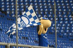 雷速体育电脑版官网-沙尔克04在客场遭遇失利惨败的简单介绍