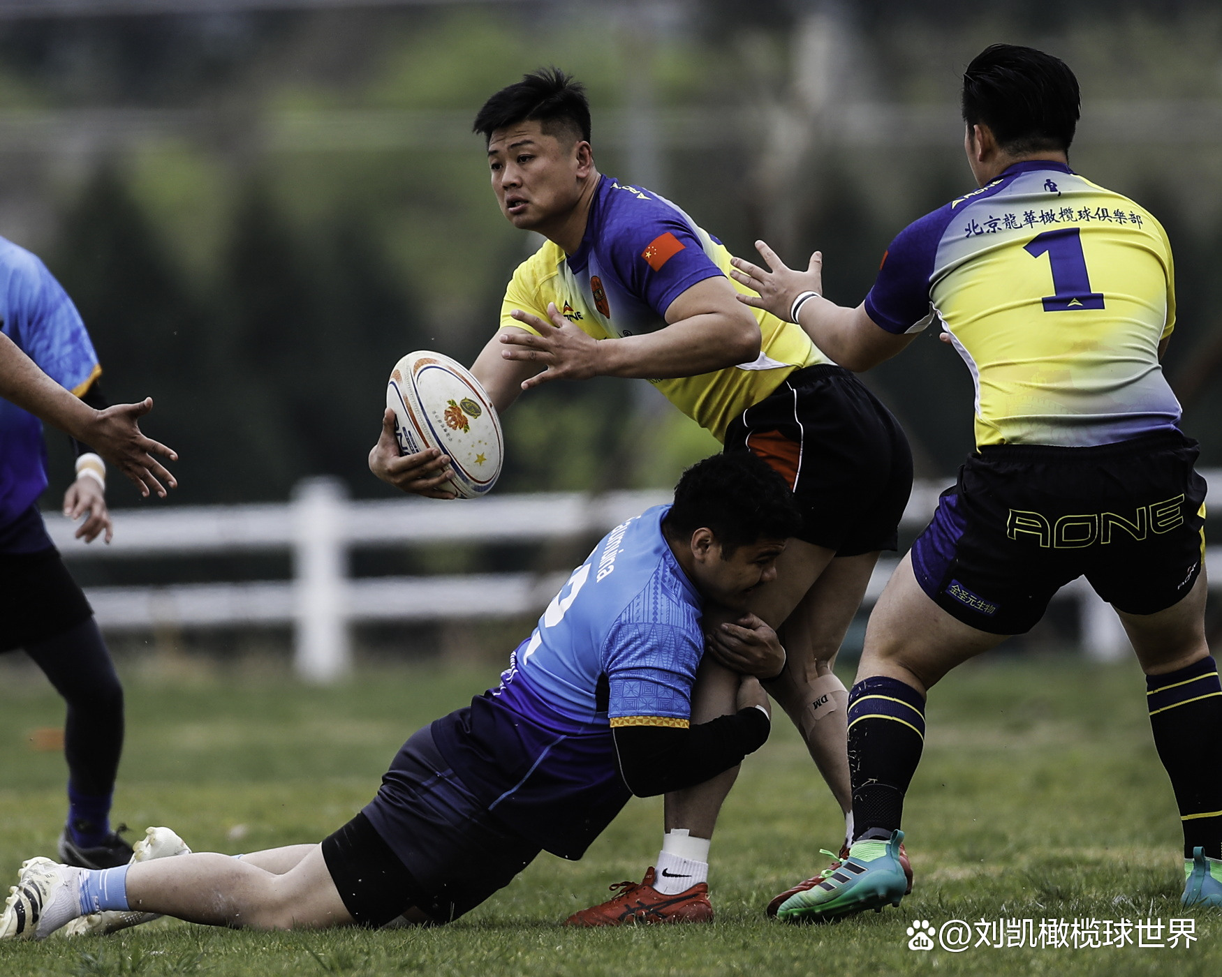 冷静与激情交织!橄榄球完美收官 冷静与激情交织!橄榄球完美收官